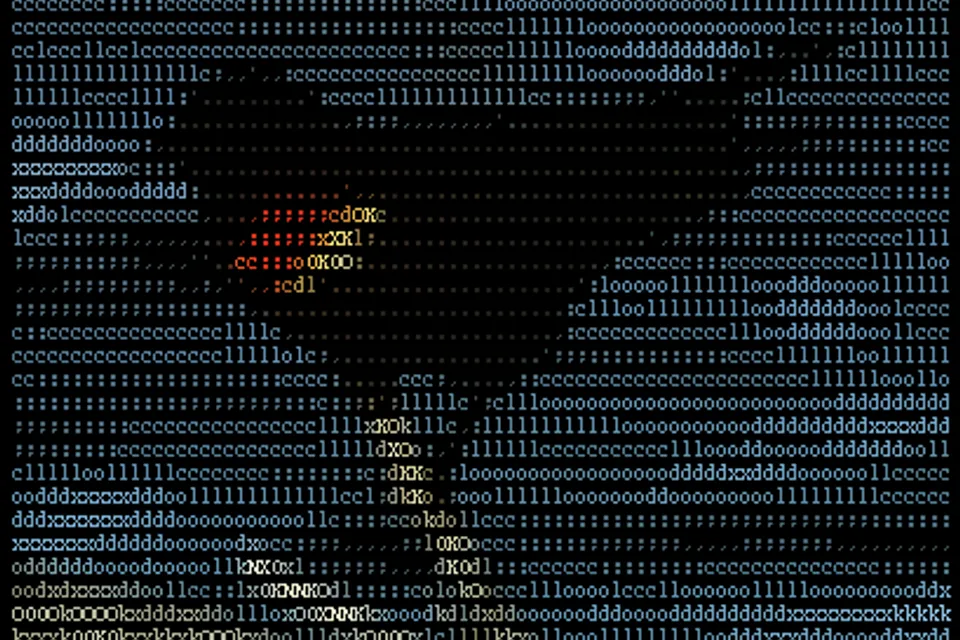 Bird converted to ASCII characters by Csl77, selected as a documented reference for ASCII Art